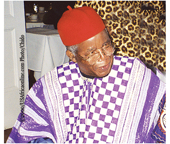 USAfrica: To Achebe, eagle on the iroko, tribute to my mentor at 90. By Chido Nwangwu