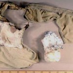 Mutallab hid 80grams of bomb-explosive in underwear