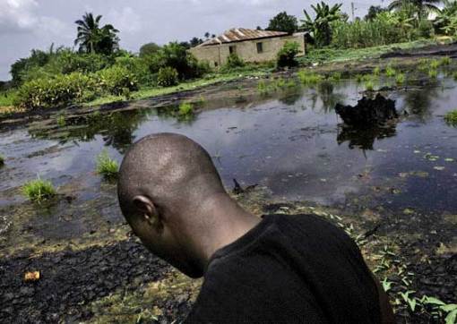 POLLUTION, OIL and NIGERIA: Liquid Gold or Petro-Dollars Curse?