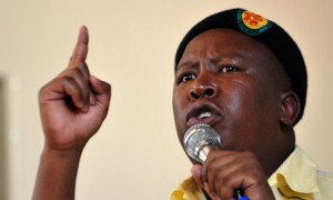 Julius-Malema-south-africa-activist_pix-by-Alexander_Joe-AFP-GettyImages