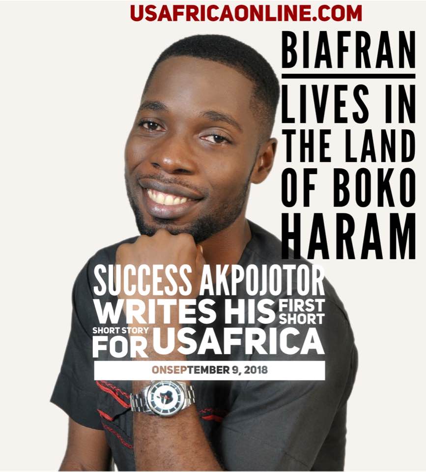 USAfrica Exclusive: Chiebuka, from long nights in Biafra to Boko Haram's Cattle Cake. By Success Akpojotor