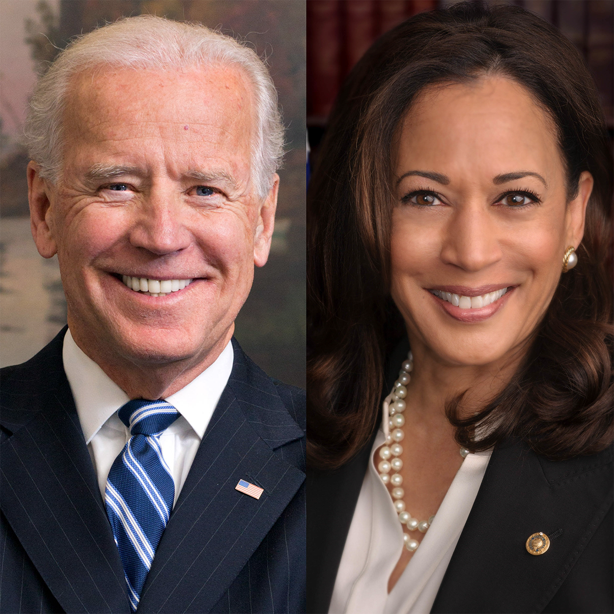 U.S President Biden will transfer power to Vice President Kamala Harris