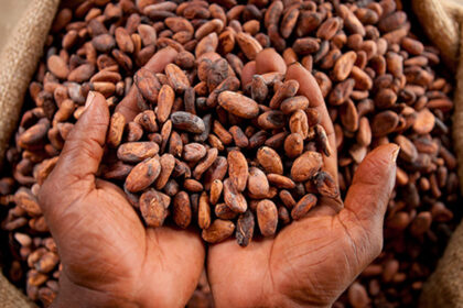 Ivory Coast cocoa exporters fear default as bean shortage hits hard