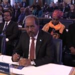 IFAD re-engages with Somalia to boost economic performance.
