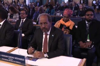 IFAD re-engages with Somalia to boost economic performance.