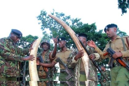 Kenyan police arrest 3 suspects with elephant tusks
