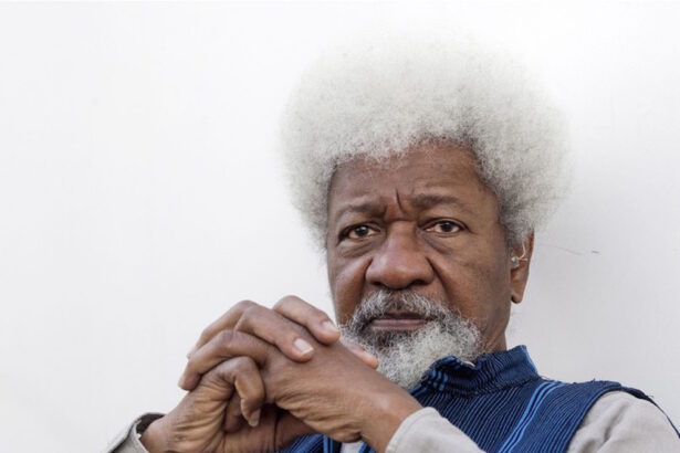 Soyinka reacts to U.S. visa revocation