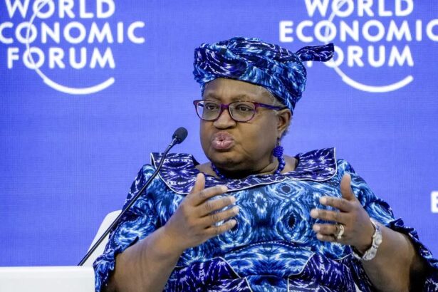 WTO chief calls for sweeping reforms to safeguard global trade stability