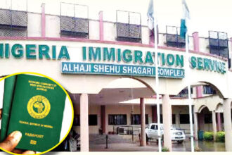 USAfrica: Immigration encounters at the Lagos Passport Office. By Adewale Adeoye