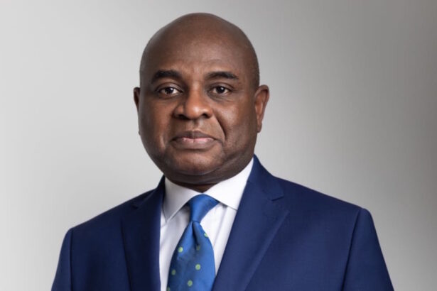 USAfrica: Moghalu seeks “transformed Africa”, chosen as President of African School of Governance