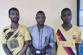 Bauchi police arrest dismissed constable, two others for robbery