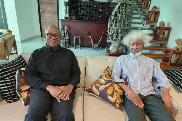 Labour Party knows Peter Obi lost 2023 polls - Soyinka says