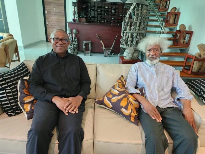 Labour Party knows Peter Obi lost 2023 polls - Soyinka says