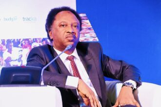 Shehu Sani backs call for Nnamdi Kanu’s release