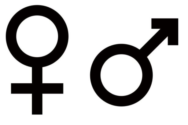 USAfrica: The husband beaters of Lagos. By Suyi Ayodele