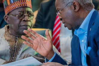 I don’t need an office to serve in Tinubu’s administration- Fashola