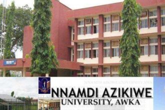 USAfrica: Alumni as the nucleus of University development. By Uche Nworah