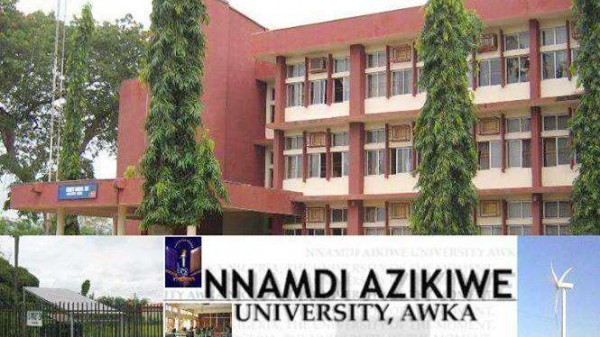 USAfrica: Alumni as the nucleus of University development. By Uche Nworah