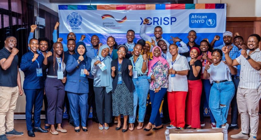African UN Youth Delegates Program 2024 for young Africans. (Fully Funded)