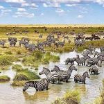 South Sudan signs deal to enhance tourism