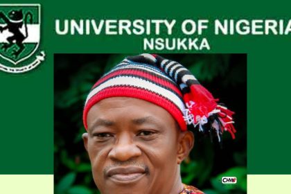 CIS-UNN 2024 2nd World Igbo Conference in Retrospect