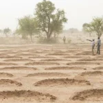 Nigeria to restore 4mln hectares of degraded lands for agriculture