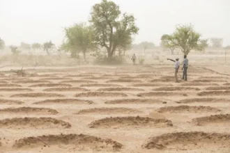 Nigeria to restore 4mln hectares of degraded lands for agriculture