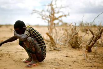 Famine in Nigeria