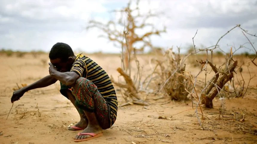 Famine in Nigeria