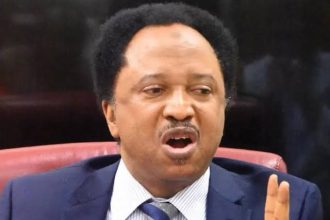 Shehu Sani urges Tinubu to prioritize competence in appointments