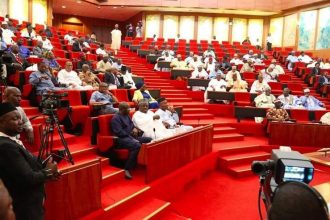 Nigeria: Senate approves steep windfall tax on banks' foreign exchange gains