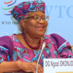 Nigeria’s average GDP growth rate has remained negative since 2014 – Okonjo-Iweala 