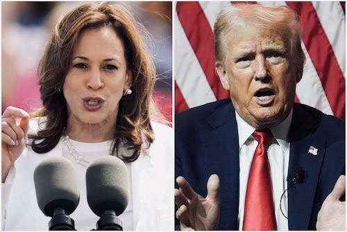 USAfrica: Trump and Harris, turn the mic on! By Chido Nwangwu