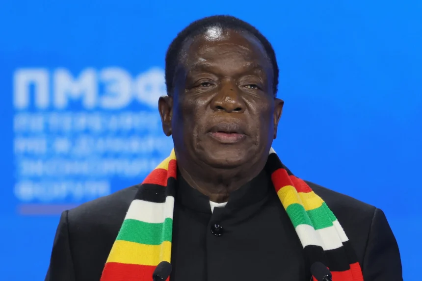 Zimbabwe opposition backed bid to extend Mnangagwa’s mandate