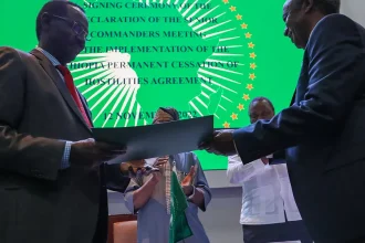 Ethiopia: Lt. Gen. Tadesse Werede appointed interim President of Tigray