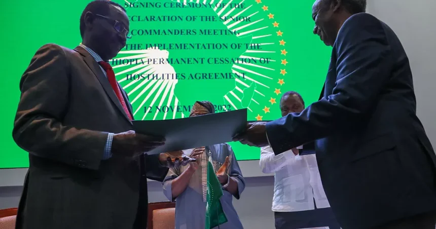 Ethiopia: Lt. Gen. Tadesse Werede appointed interim President of Tigray