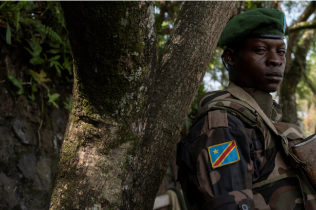 Congo’s war budget strained by rebel conflict and falling Revenues