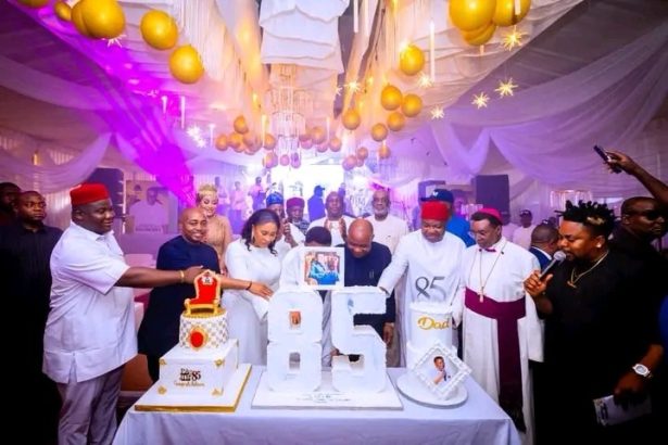 Jim Nwobodo @85: visionary and titan. By Chiedozie Ogbonnia