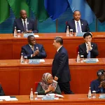 Young African Entrepreneurs driving China-Africa economic synergy