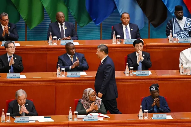 Young African Entrepreneurs driving China-Africa economic synergy