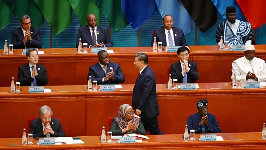 Young African Entrepreneurs driving China-Africa economic synergy