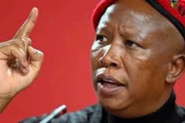 South Africa’s firebrand Malema, EFF call UK Visa denial “cowardice”