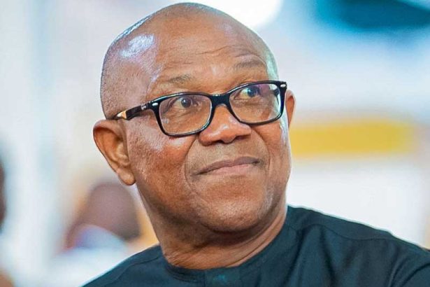 Peter Obi criticizes ECOWAS over double standards in Guinea-Bissau