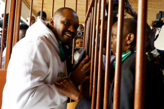 Kenyan activist Mwangi freed on bail