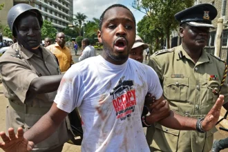 Kenyan activist Boniface Mwangi arrested