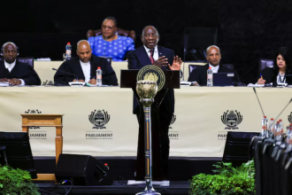 South Africa seeks $500M in innovative FX funding post-budget deal