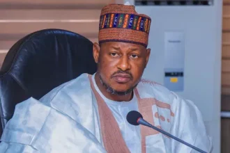 Most bandits are locals, says Katsina Governor