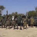 Chadian security forces capture Boko Haram leader’s son