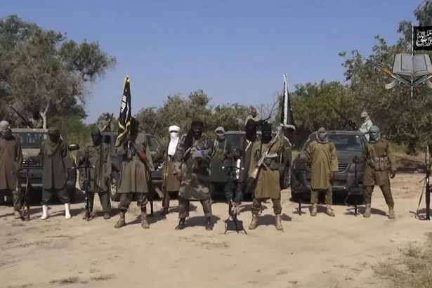 Chadian security forces capture Boko Haram leader’s son