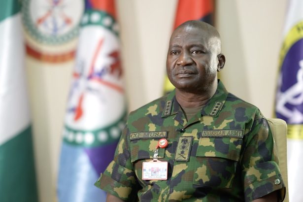 Nigeria’s chief of defence calls for adoption of AI to combat terrorism in Africa